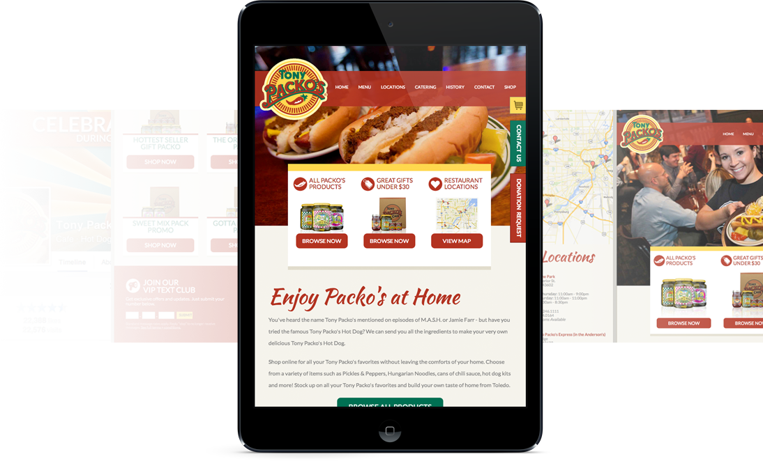 Project Overview Screenshot for Tony Packo's