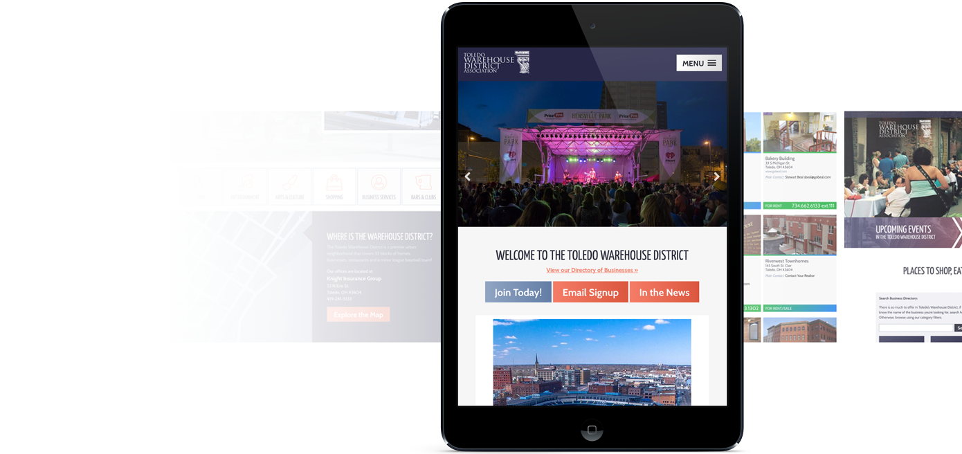 Project Overview Screenshot for Toledo Warehouse District Association